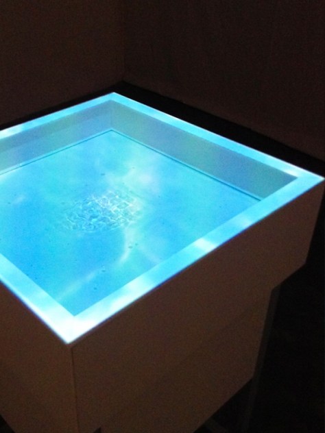 Lone Swimmer, Molly Lun