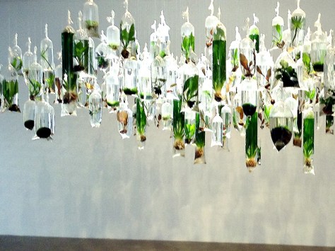 Installation by Gabriel Leung