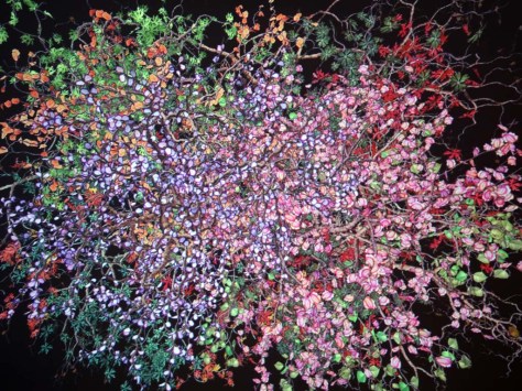 Diaspore by Jennifer Steinkamp at Lehmann Maupin