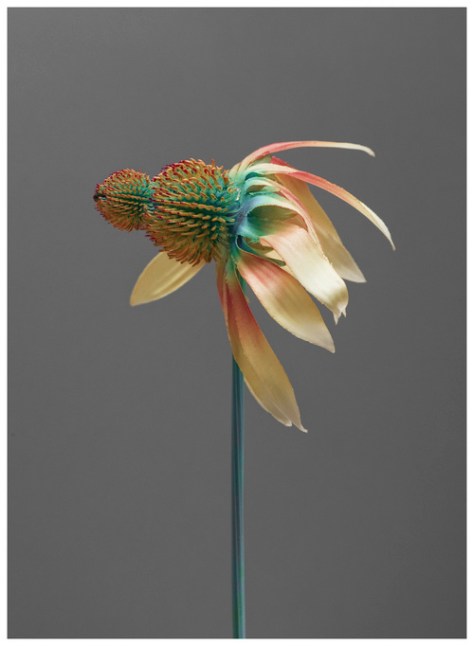 Future Archive for Future-past