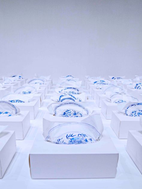 Blue and white facial tissues, 2014