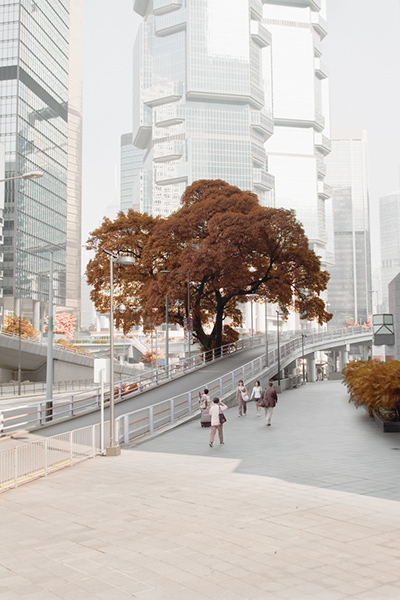 Metropolis Chlorophyll,  Image courtesy of Siu Wai Hang 