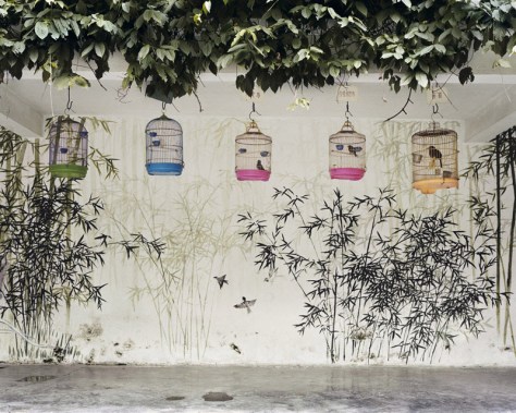 Guangzhou Zoo II from the Series People’s Park (2007) Image courtesy of Kurt Tong