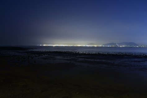 Ha Pak Lai - 下白泥 Image courtesy of Siu Wai Hang