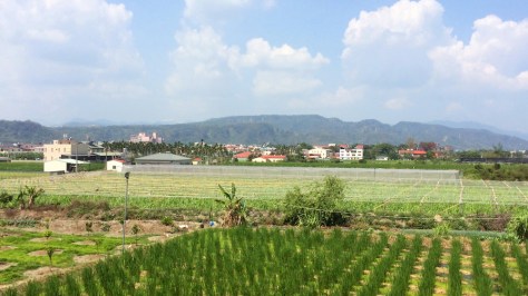 redtonetone-201610_04